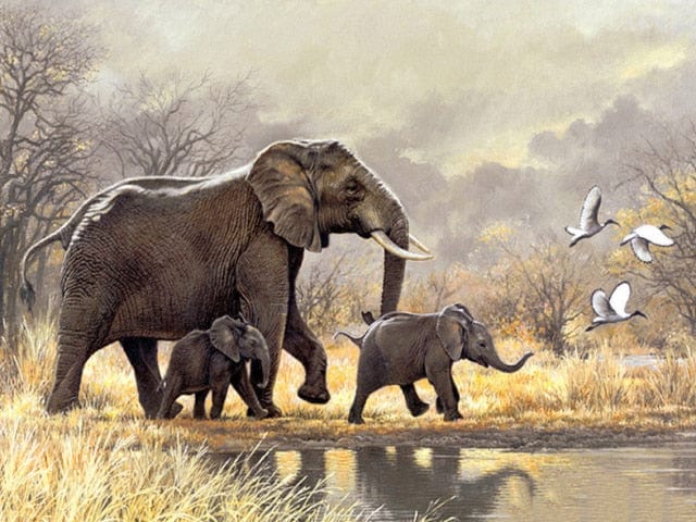 Amazello decoration 2940 / Full Round 15X20cm 5D Diamond Painting Elephant Mini Collection