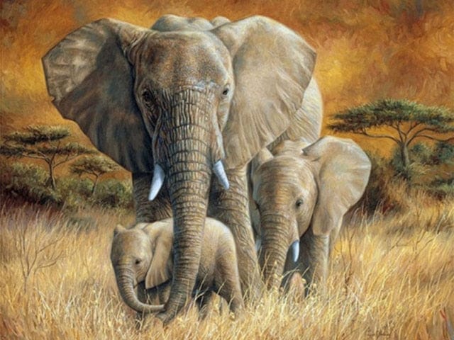 Amazello decoration 2942 / Full Round 15X20cm 5D Diamond Painting Elephant Mini Collection