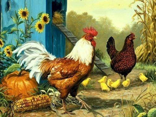 Amazello decoration FA4194 / 20x25cm 5D Diamond Painting Roosters, Hens, and Chicks Mini Collection