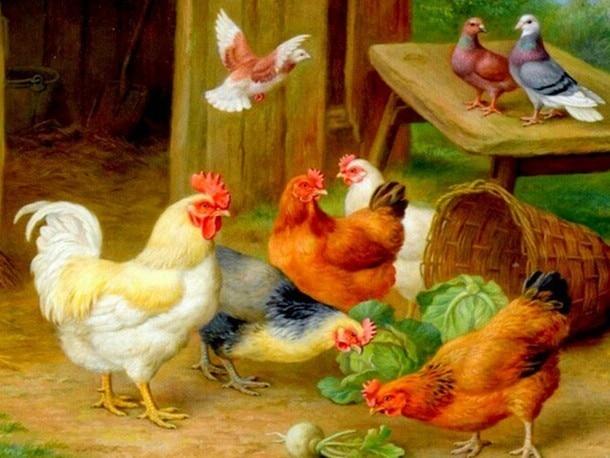 Amazello decoration FA4196 / 20x25cm 5D Diamond Painting Roosters, Hens, and Chicks Mini Collection