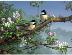 5D Diamond Painting Two Birds in a Tree During Spring Bloom