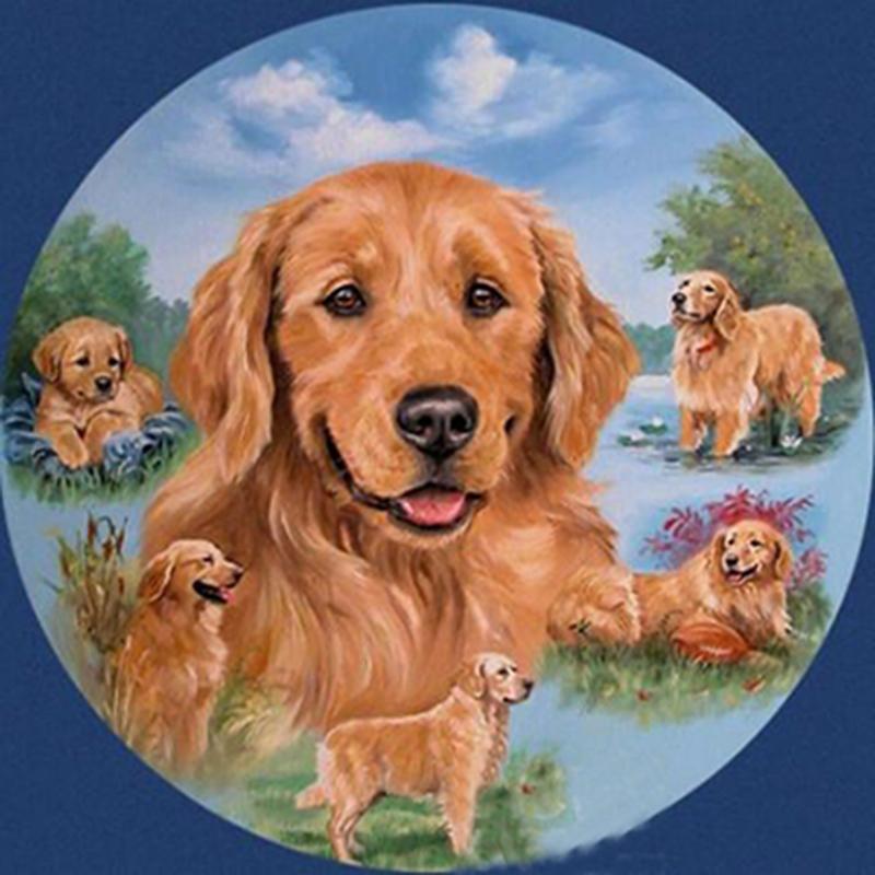 Amazello home decor 5D Diamond Painting Resting Dog