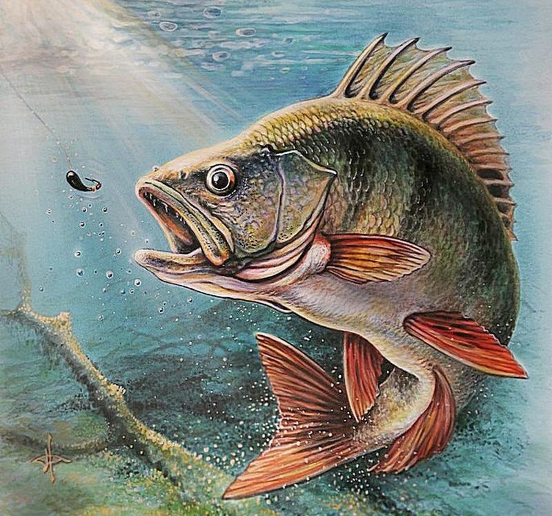 5D Diamond Painting Water Fish - Amazello