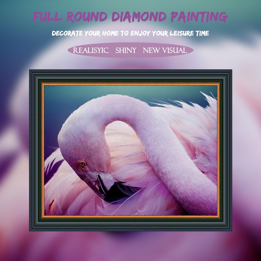 Amazello home decor 5D Diamond Painting Flamingo