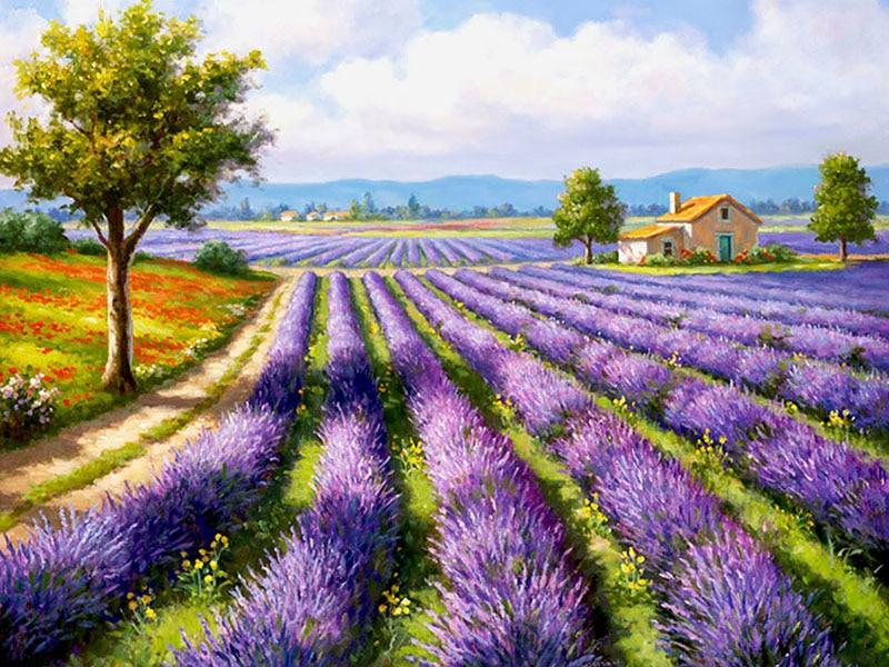 Amazello home decor 5D Diamond Painting Lavender