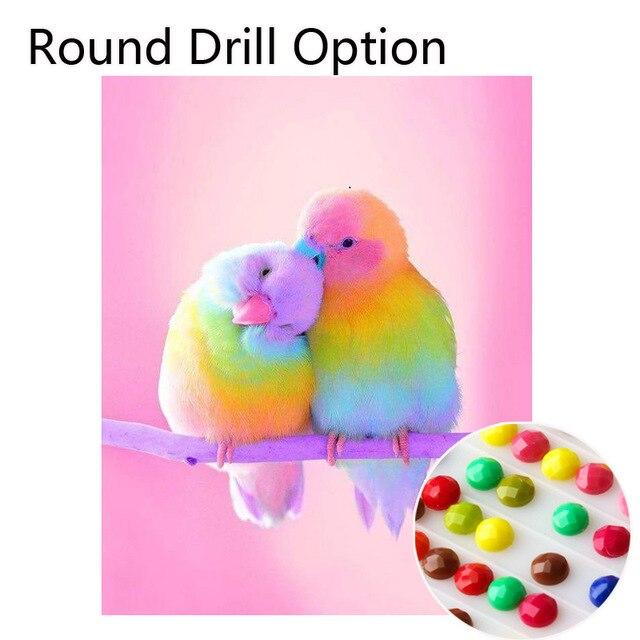 Amazello home decor Round Drill / 20X25 cm 5D Diamond Painting Rainbow Love Birds