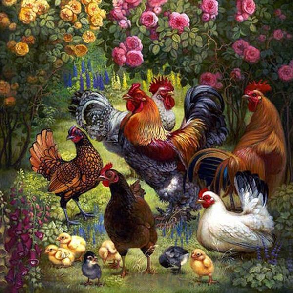 Amazello home decor 5D Diamond Paintings a Roosters, Hens, and Chicks