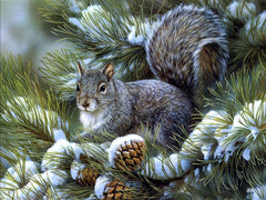 5D Diamond Painting Winter Squirrel
